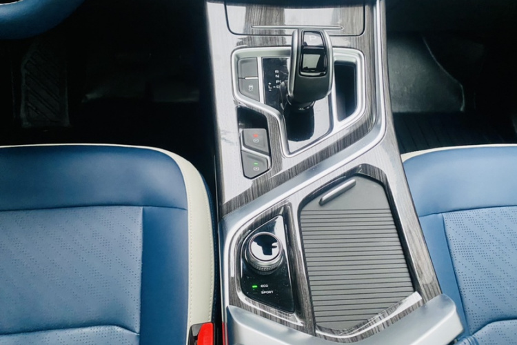 Livan Maple 80V PRO 2023 imagen de coche #13