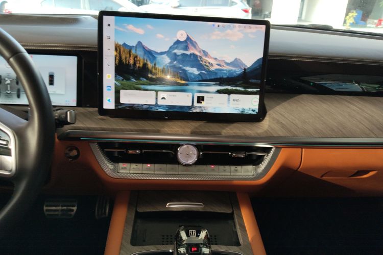 Tank 500 2023 car image #13