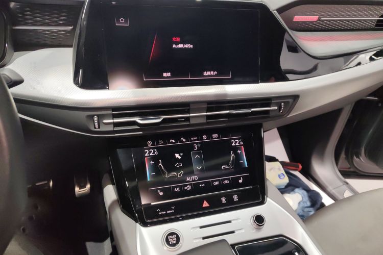 Audi Q6 2024 imagem de carro #13