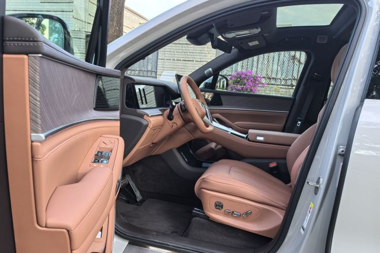 Denza N9 car image #13