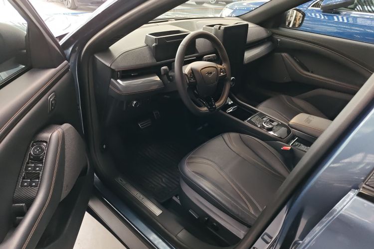 Ford Mustang Mach-E 2022 car image #13