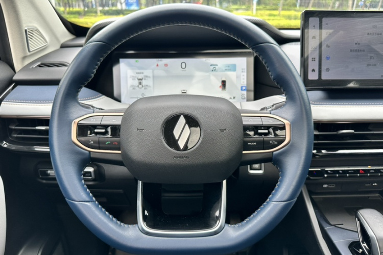 睿蓝汽车 睿蓝9 2023 汽车图片 #13