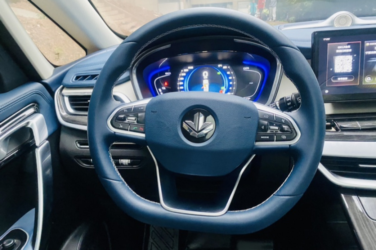 睿蓝汽车 枫叶80v PRO 2023 汽车图片 #13