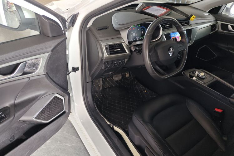 睿蓝汽车 枫叶60s 2022 汽车图片 #13