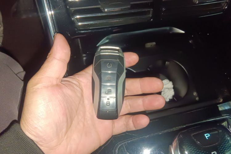 BYD Tang New Energy 2021 immagine di auto #13