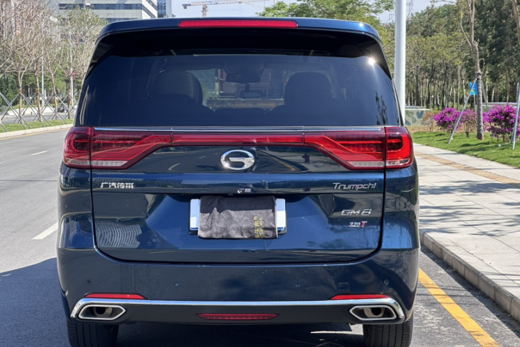 GAC Trumpchi M8 2019 car image #13