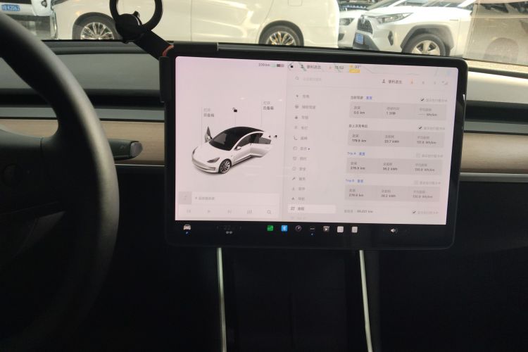 Tesla Model 3 2020 #13 Tesla Model 3 2020 صورة سيارة #13