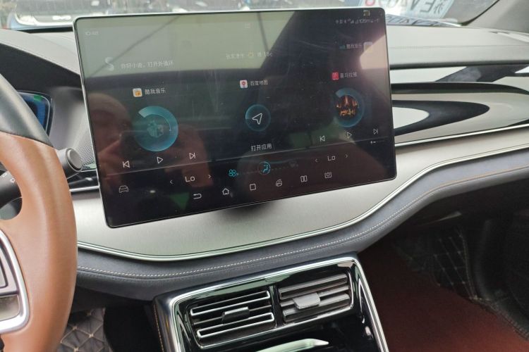 BYD Tang New Energy 2021 car image #13