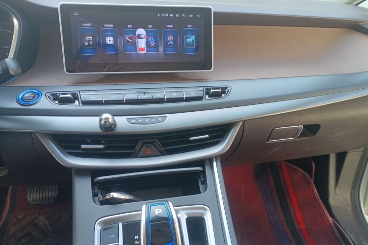 睿蓝汽车 枫叶80v 2021 汽车图片 #13