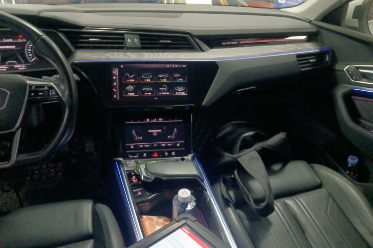 Audi e-tron (Imported) 2020 car image #13