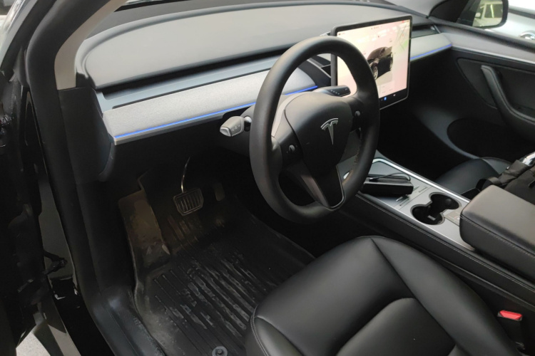 Tesla Model Y 2023 car image #13