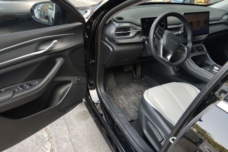 BYD Destroyer 05 2024 car image #13