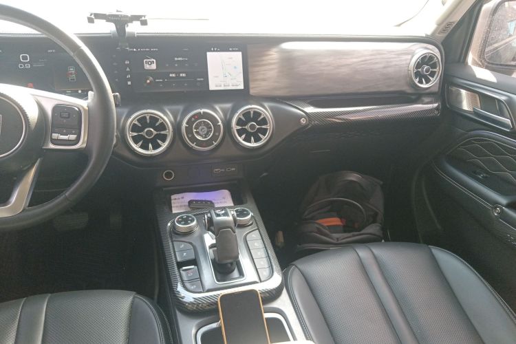 Tank 300 2021 car image #13