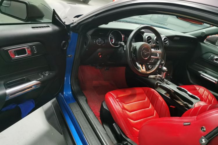 Ford 2019 car image #13