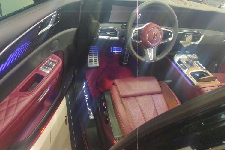 HongQi E-HS9 2021 immagine di auto #13