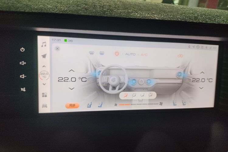 Tank 300 New Energy 2024 car image #13