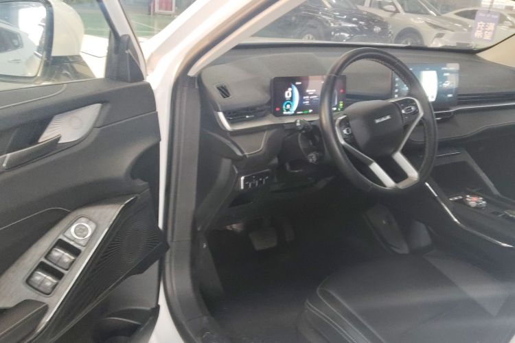 Haval H6 2022 car image #13