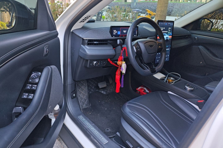 Ford Mustang Mach-E 2022 #13 Ford Mustang Mach-E 2022 car image #13