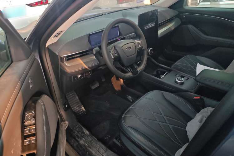 Ford Mustang Mach-E 2023 car image #13