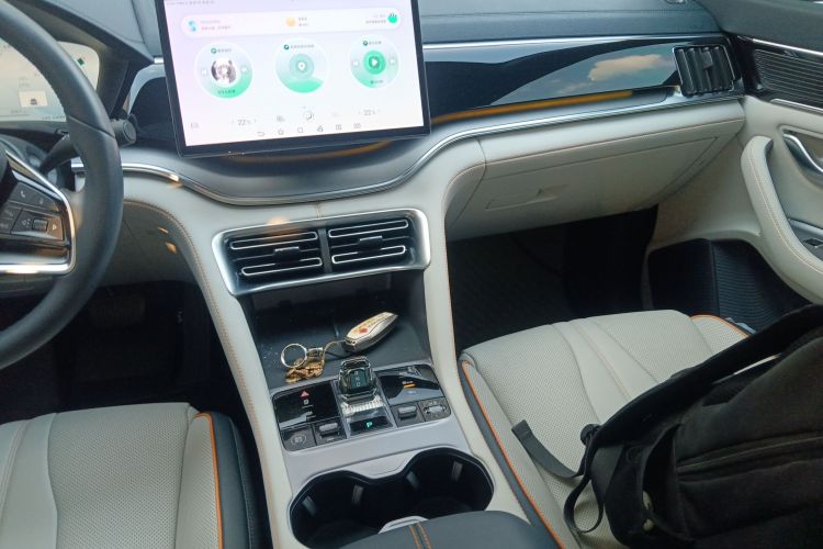 BYD Song Plus New Energy 2024 car image #13