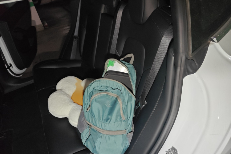 Tesla Model 3 2020 car image #13