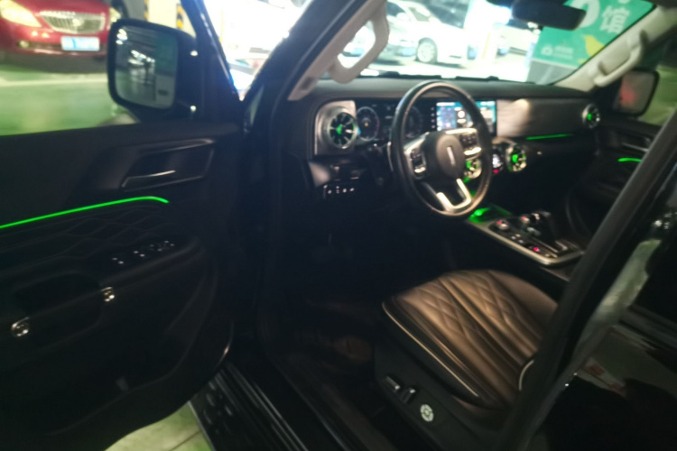 Tank 300 2021 #13 Tank 300 2021 car image #13