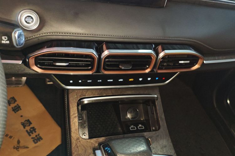 X70 PLUS 2020 car image #13
