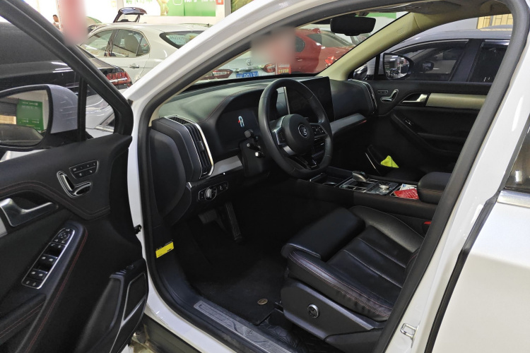 BYD Tang New Energy 2020 car image #13