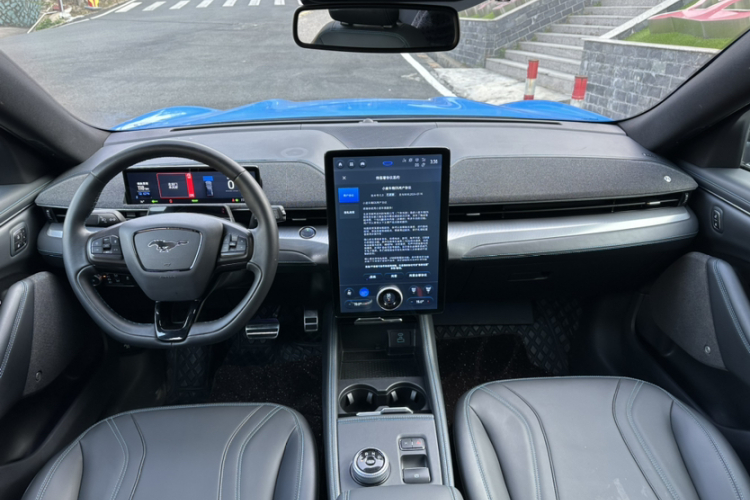 Ford Mustang Mach-E 2022 car image #13