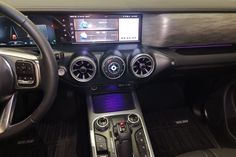 Tank 300 2022 #13 Tank 300 2022 car image #13