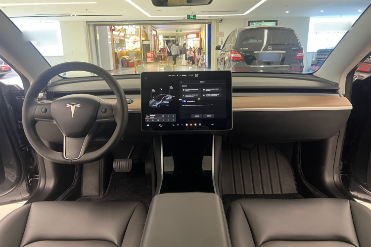 Tesla Model 3 2020 immagine di auto #13