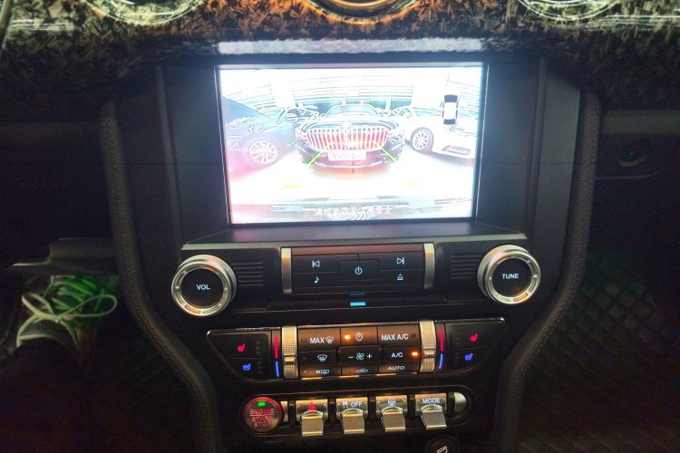 Ford Mustang 2020 #13 Ford Mustang 2020 car image #13