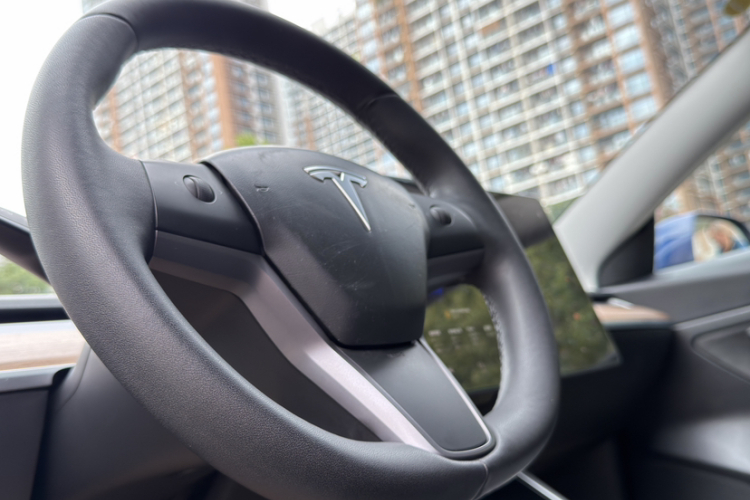 Tesla Model 3 2020 car image #13