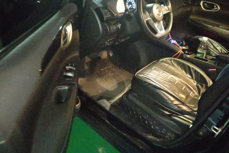 日产 轩逸·纯电 2019 汽车图片 #13