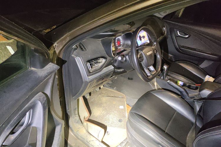 X70M 2020 #13 X70M 2020 car image #13