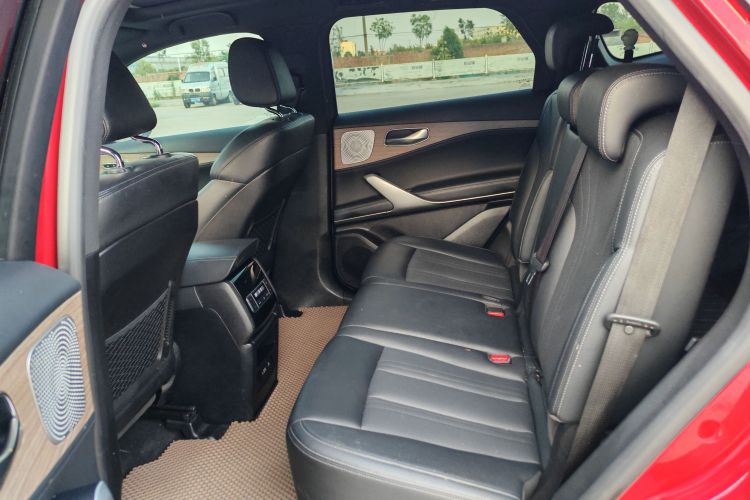 Denza X 2020 car image #13