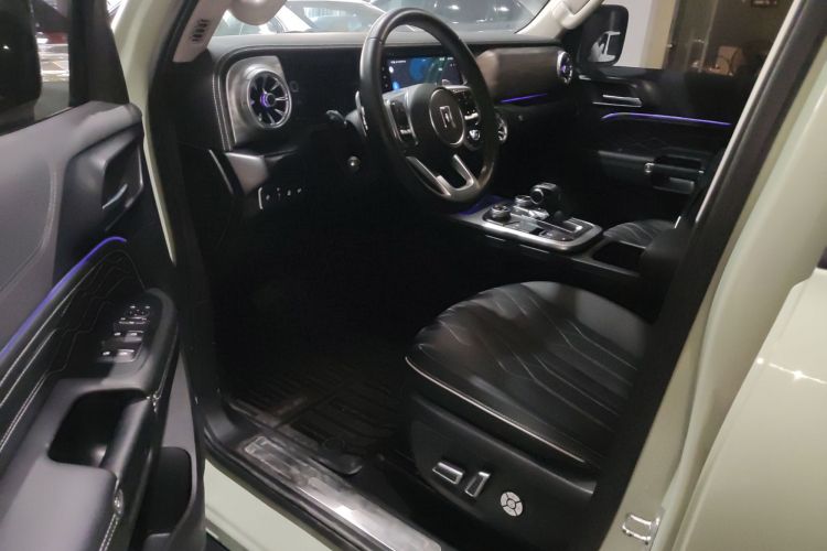 Tank 300 2021 immagine di auto #13