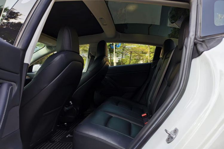 特斯拉 Model 3(进口) 2019 汽车图片 #13