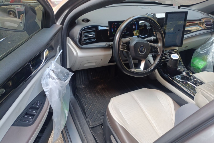 BYD Qin Plus 2024 immagine di auto #13