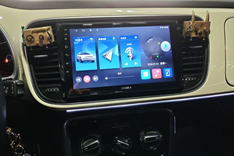 Volkswagen Beetle 2019 immagine di auto #13