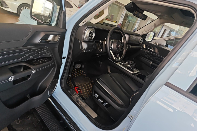 Tank 300 New Energy 2024 car image #13