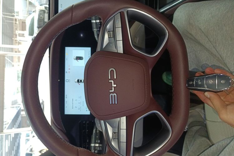 BYD Seal 07 DM-i 2025 car image #13