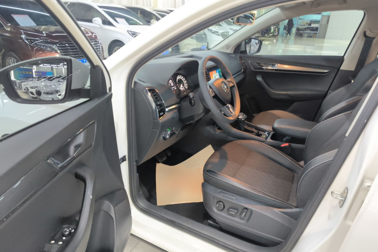 Skoda Karoq 2020 car image #13