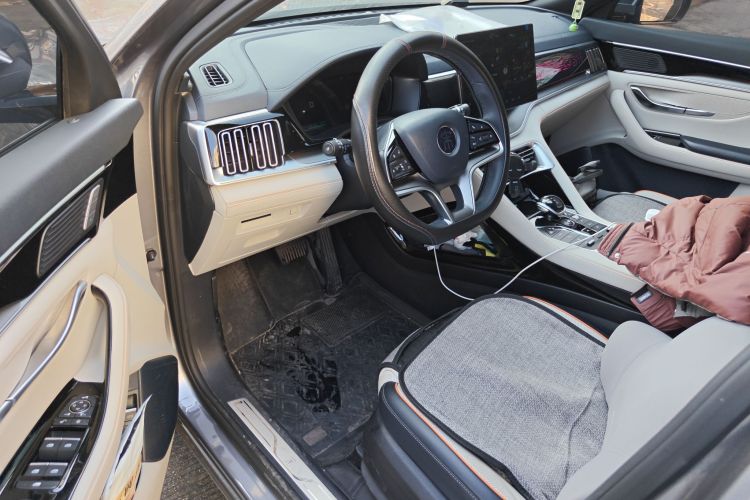 BYD Song Plus New Energy 2023 car image #13