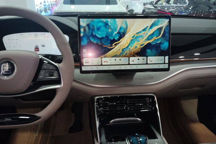 BYD Tang New Energy 2024 car image #13