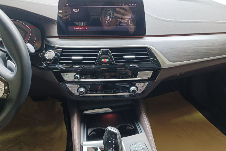 BMW 5 Series 2020 car image #13