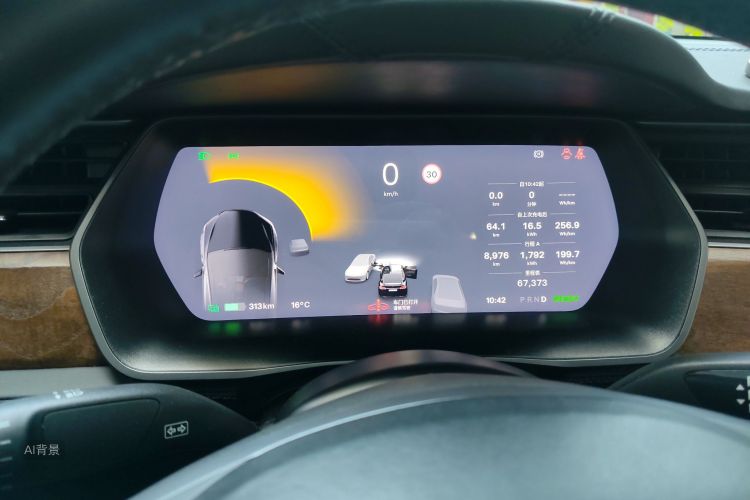 特斯拉 Model X 2019 汽车图片 #13