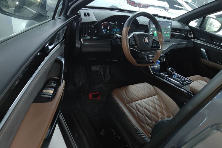 BYD Tang New Energy 2022 car image #13