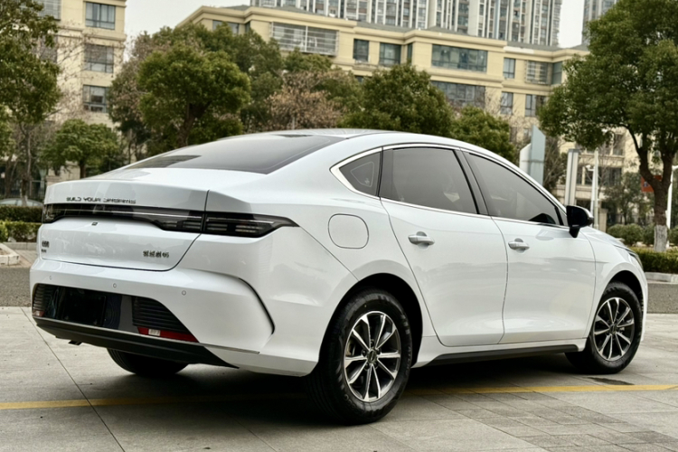 BYD Destroyer 05 2024 car image #13