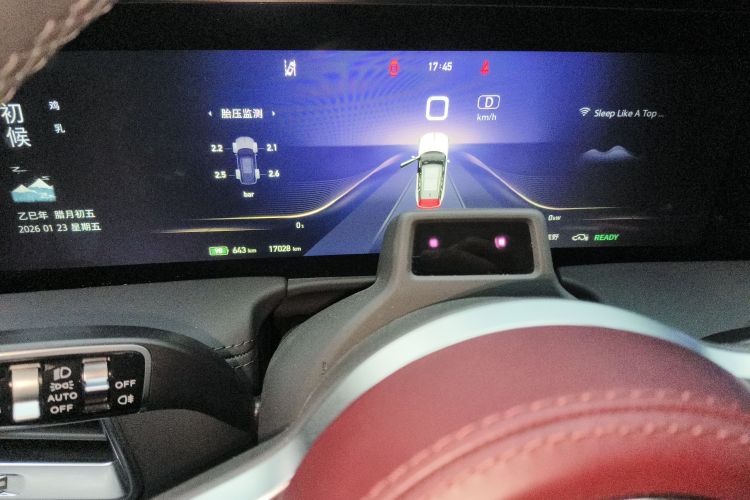 HongQi E-HS9 2023 imagem de carro #13